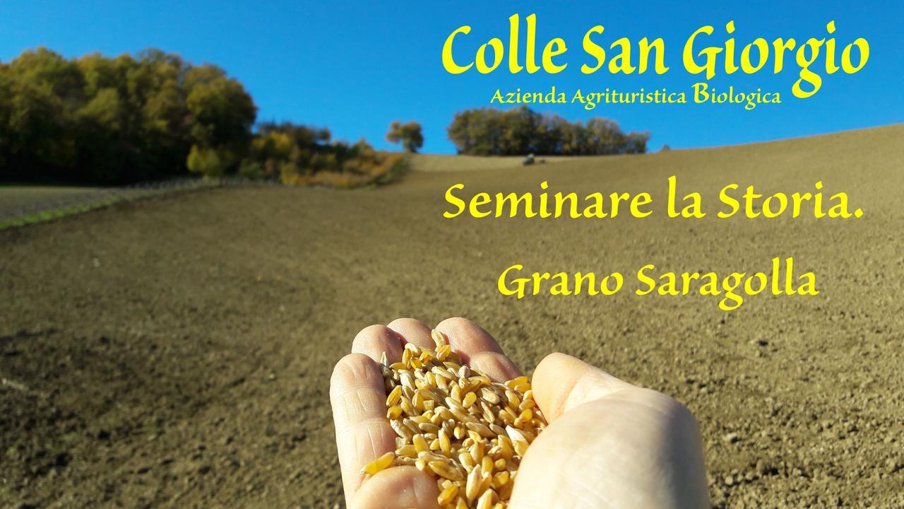 Azienda Agrituristica Colle San Giorgio Castiglione Messer Raimondo Exterior photo